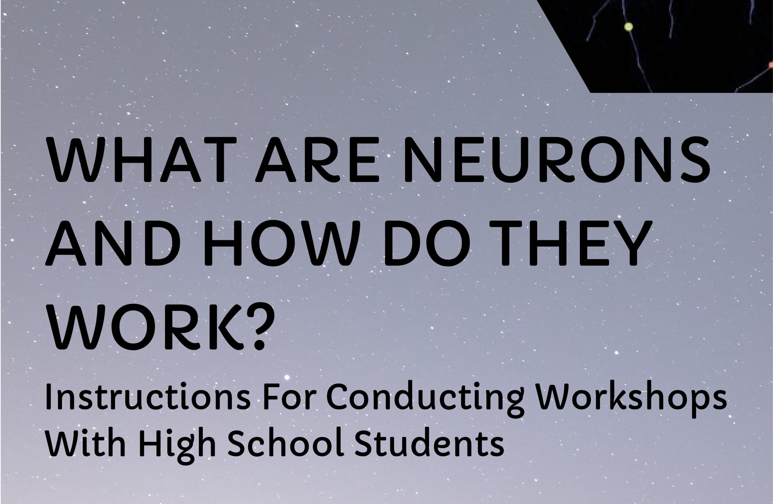What are neurons and how do they work?